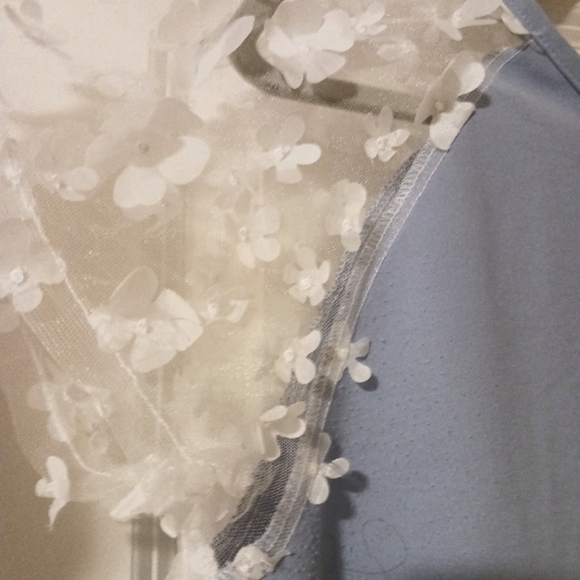 Flower Petals Cottagecore Feminine sheer sleeve Blouse. - Picture 2 of 7